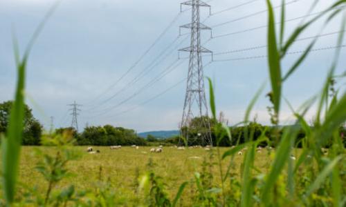 Pylon in field