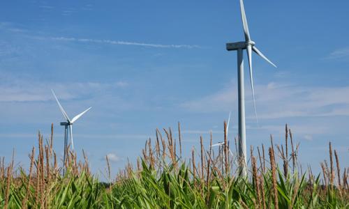 For National Grid 'Net zero know-how' story