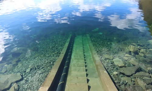 North Sea Link interconnector cable descending into the sea from the shore