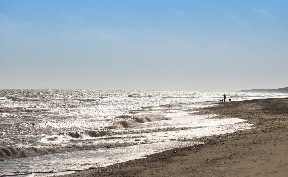 Beach scene