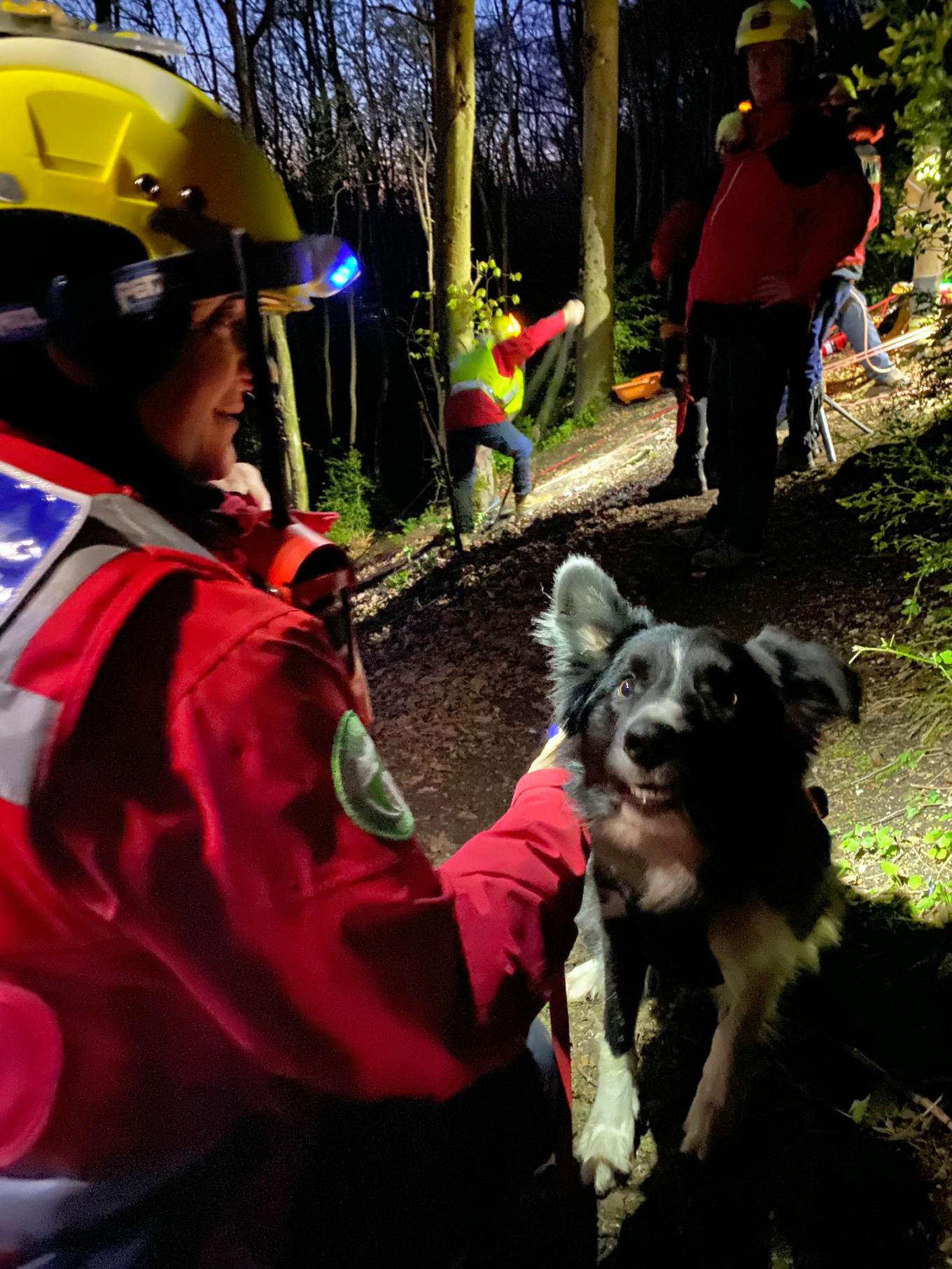 Wiltshire search and resuce dog image.jpg