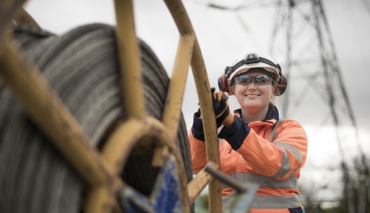 Overhead line work (OHL)